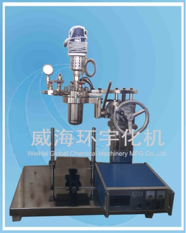 浙江0.5L Laboratory Reactor