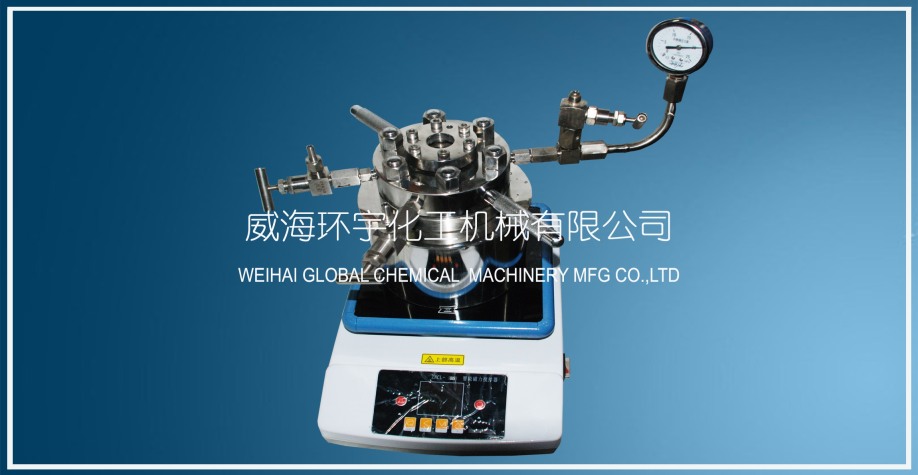 浙江0.2L高壓實驗釜配磁子攪拌器